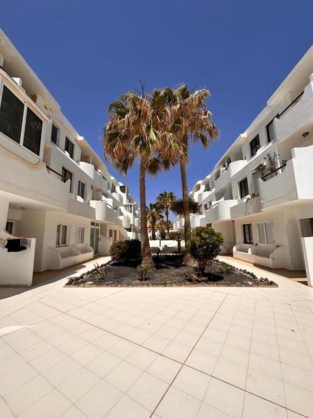 Casa Isabel Apartment Costa De Antigua Exterior photo