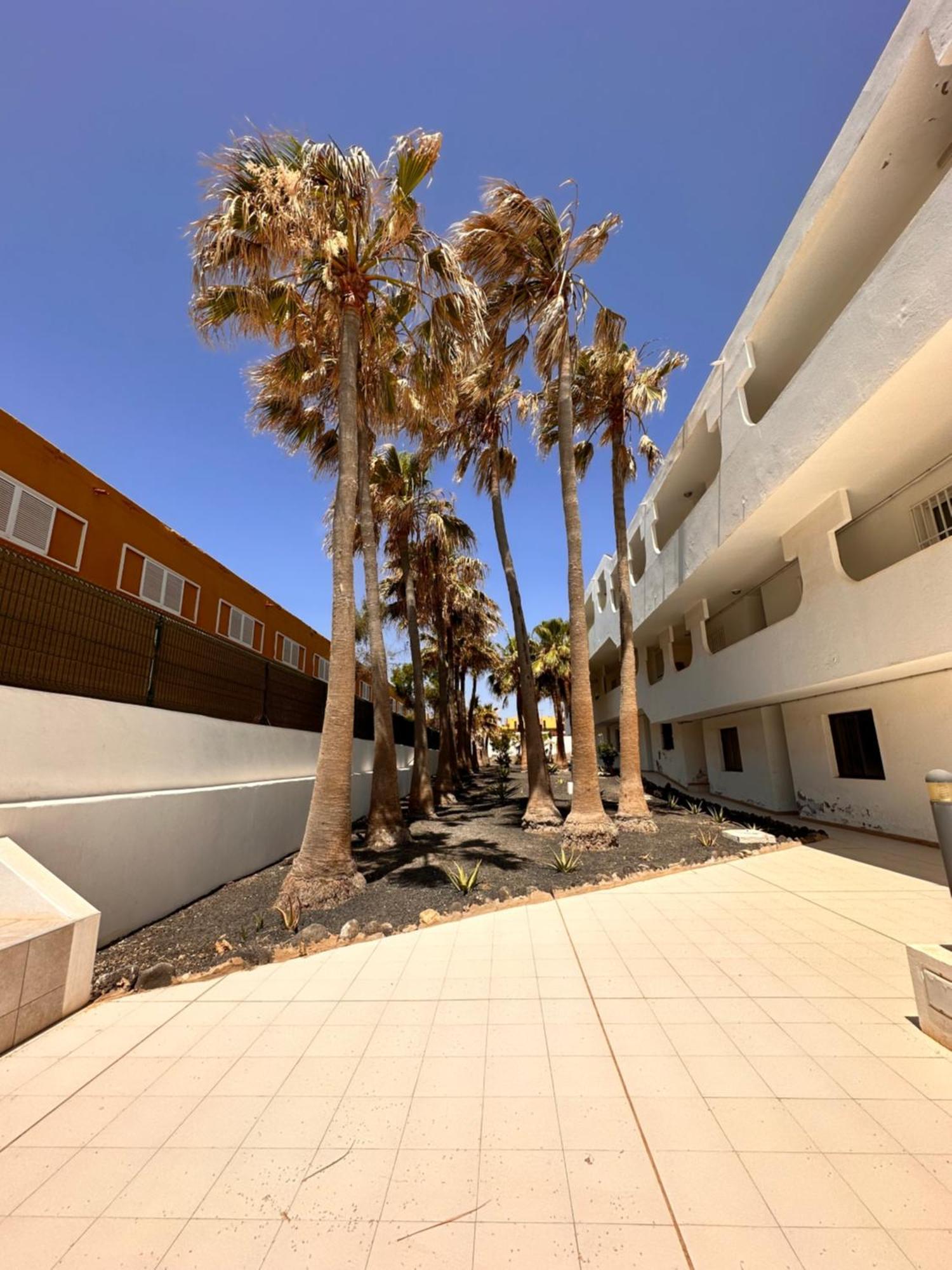 Casa Isabel Apartment Costa De Antigua Exterior photo